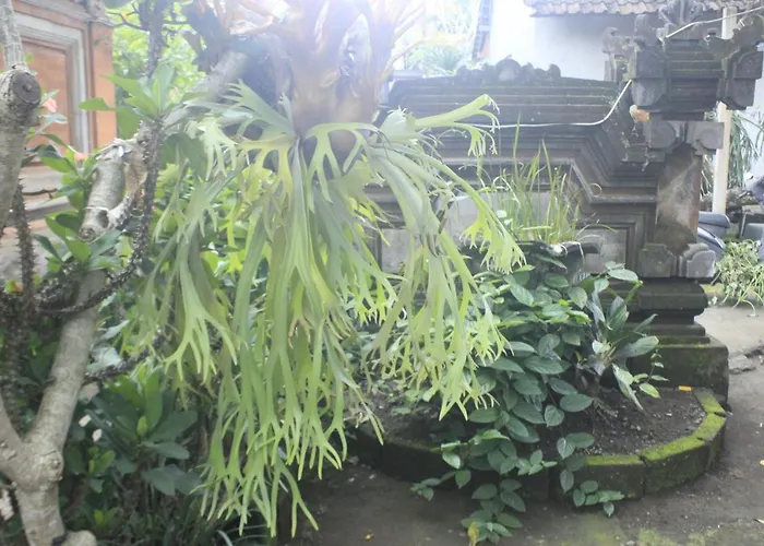 Séjour chez l'habitant Umah De Arlika Ubud
